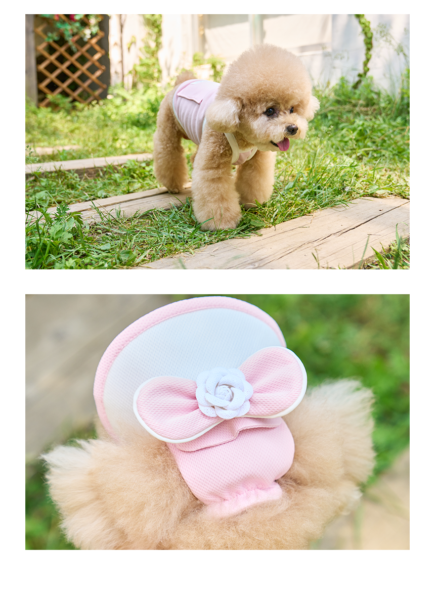 [쿨링] 강아지 아이스팩 러블리 쿨조끼