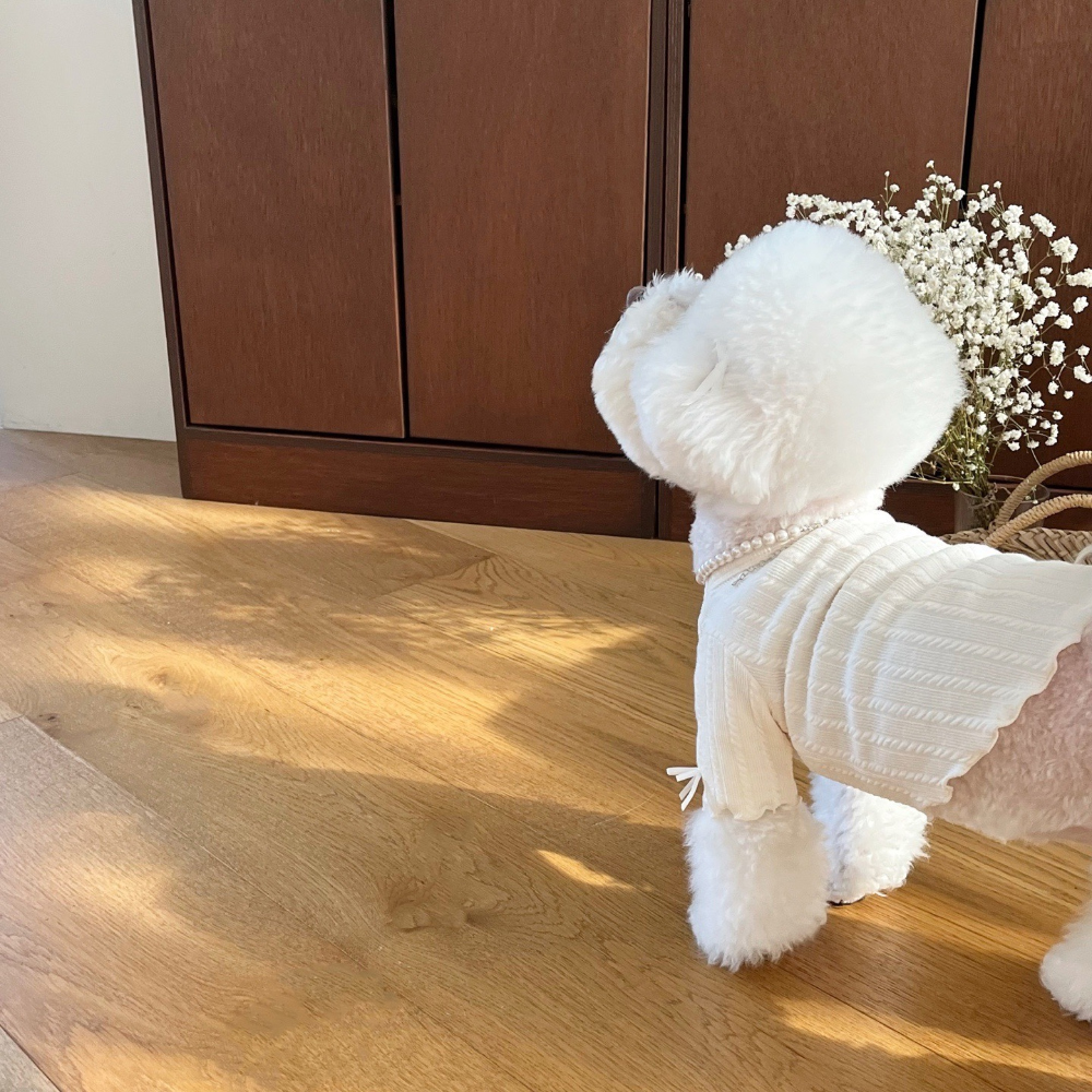 악세사리 모델 착용 이미지-S19L29