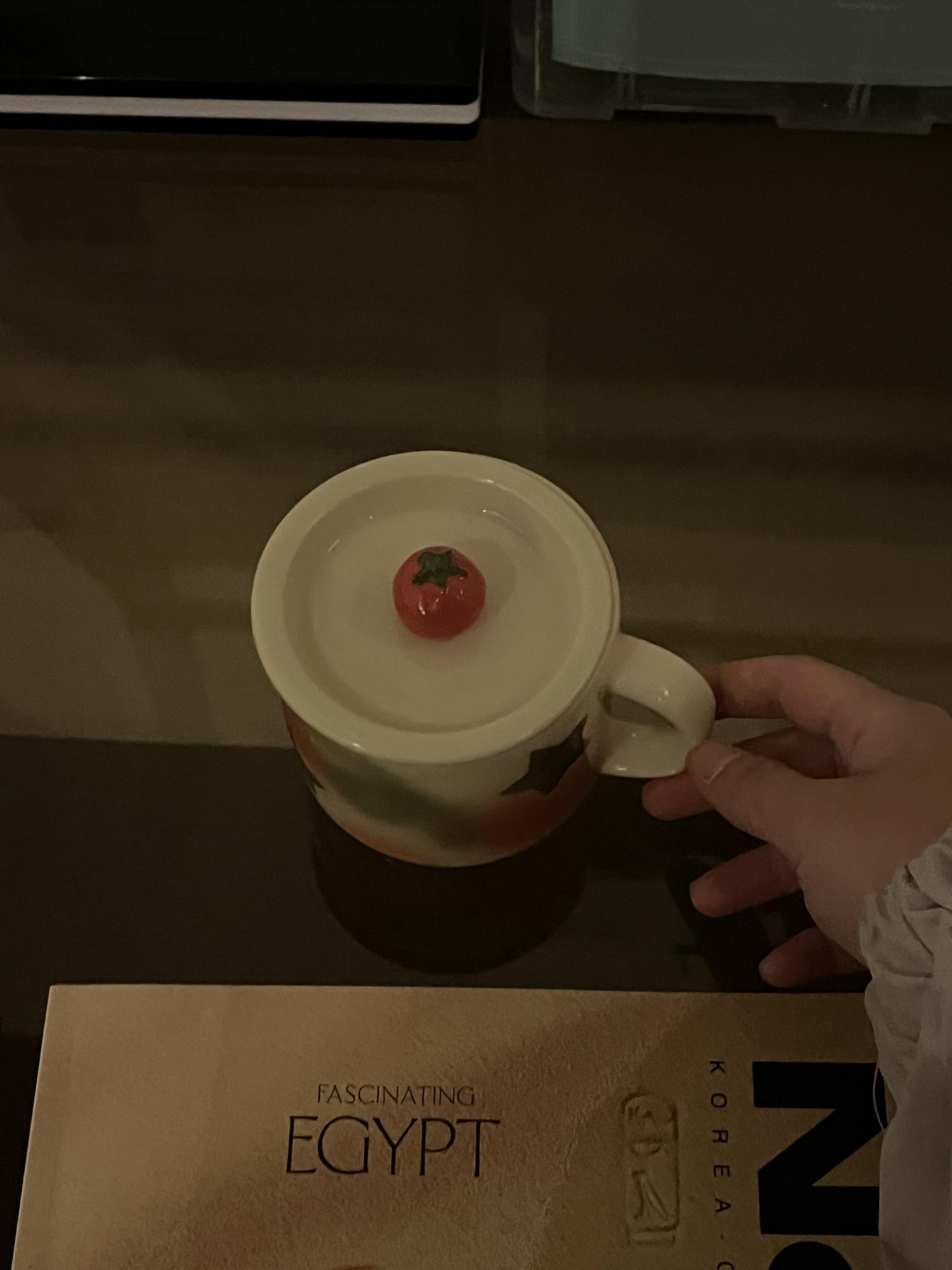 [viviflo] tomato mug cup 토마토 머그컵 (+컵뚜껑 추가가능)