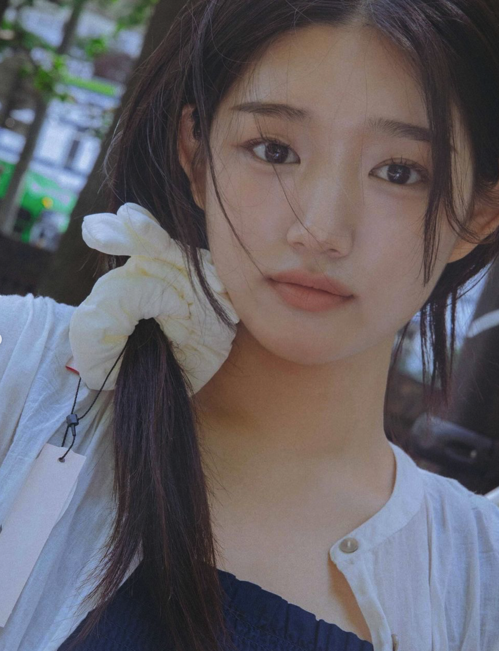 e4446ea082dc6.png