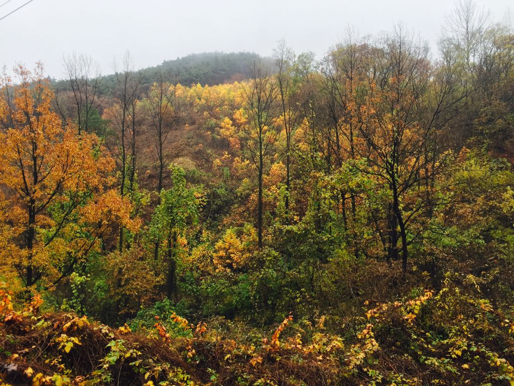 IMG_2139 (편집됨).JPG