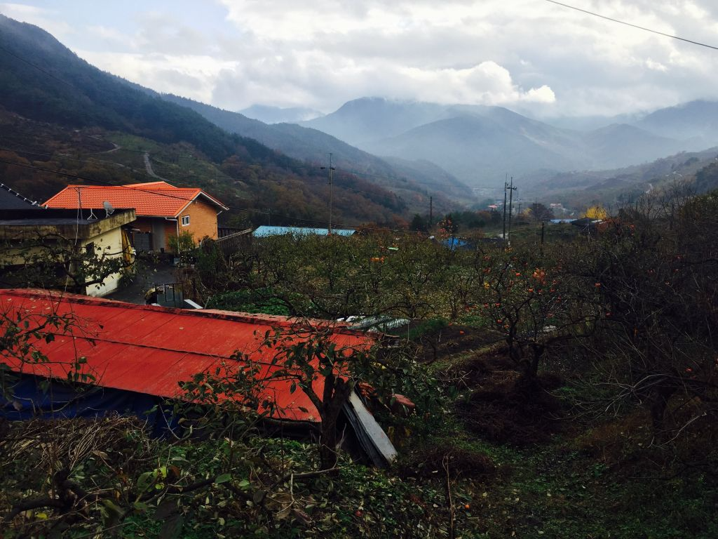 IMG_2167 (편집됨).JPG