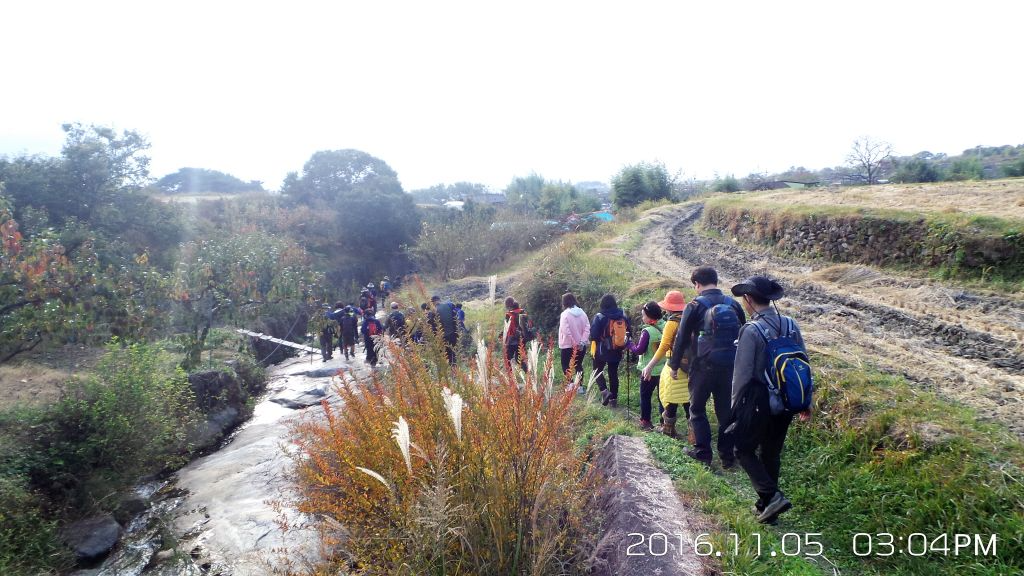 지리산길 트레킹 (7).JPG