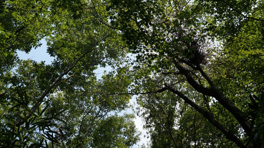 지리산연기암길 (7).JPG