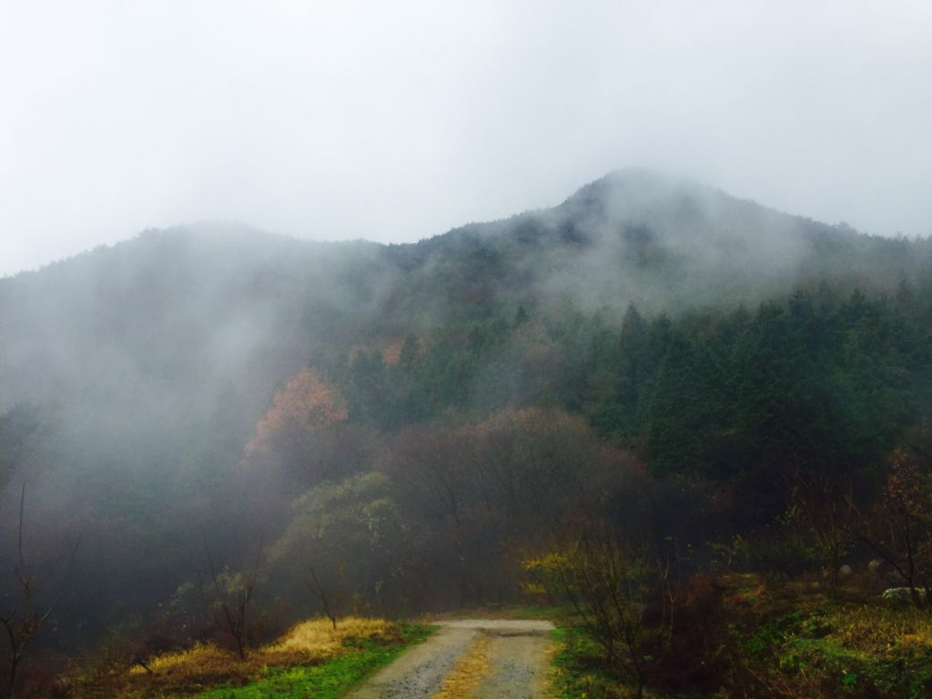 IMG_2160 (편집됨).JPG