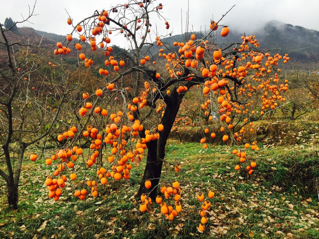 IMG_2170 (편집됨).JPG