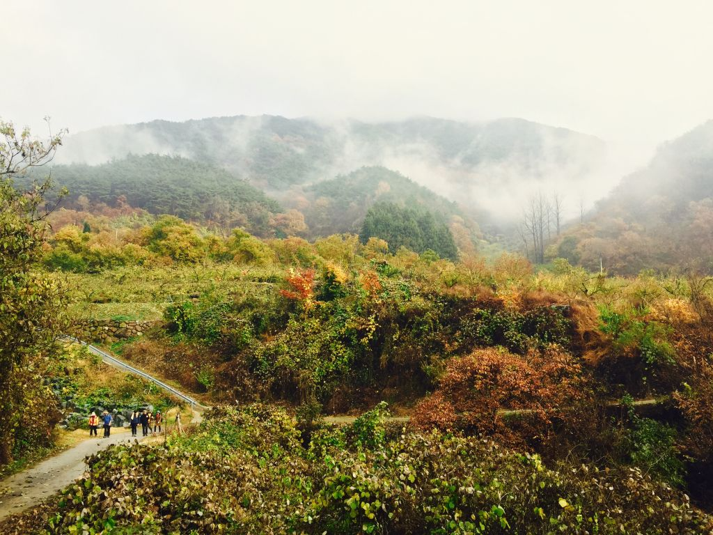 IMG_2166 (편집됨).JPG