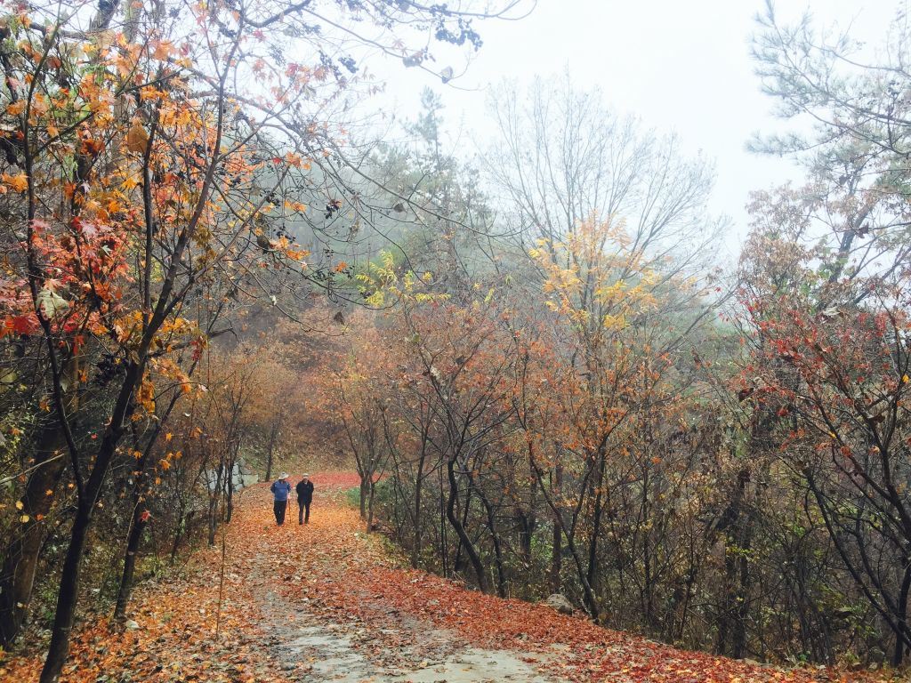 IMG_2144 (편집됨).JPG