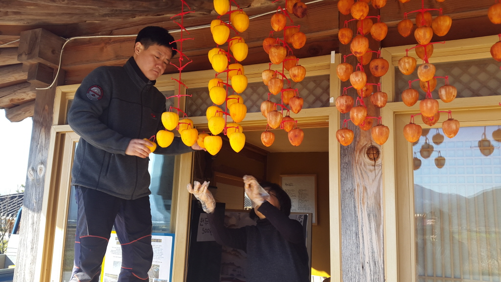 지리산씨곶감말리기.jpg