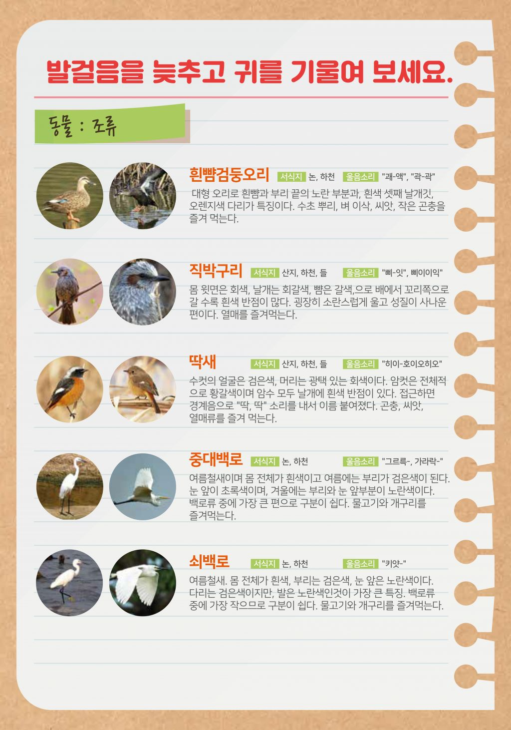 섬진강~1_6.jpg
