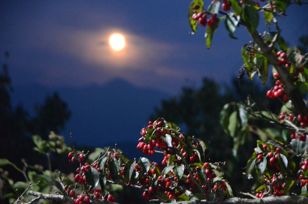 20161015_현천마을(니콘사진) (14).JPG