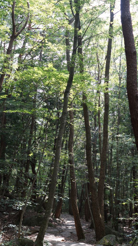 지리산연기암길 (21).JPG