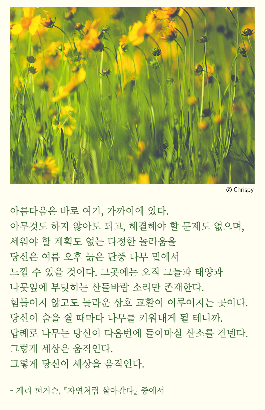 2cb678e1b69d3.png