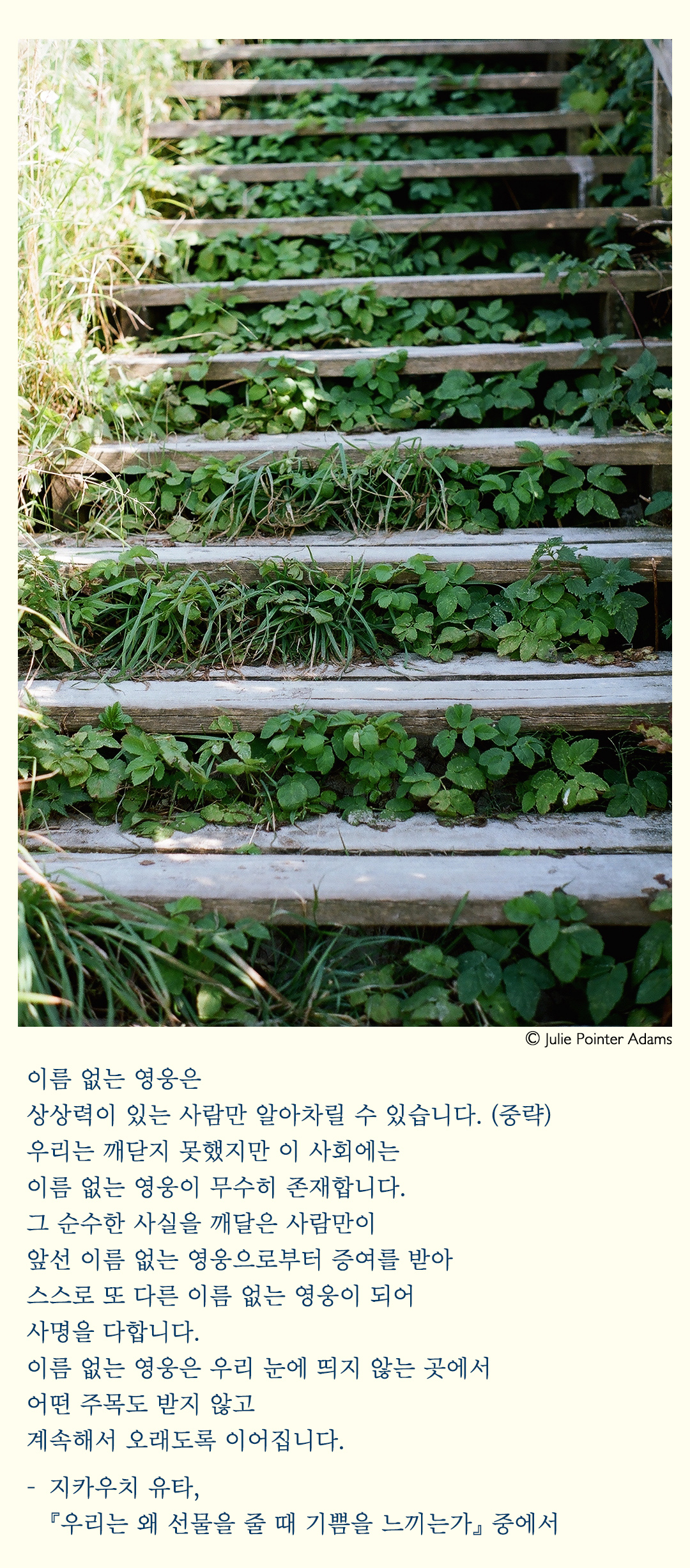 527341b58990e.png