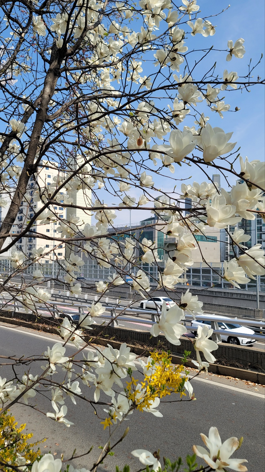 161da91557ef6.jpg