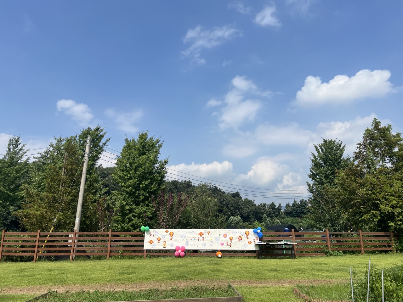 29752ed41239d.jpg