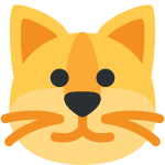 🐱