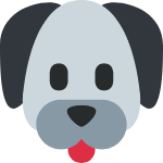 🐶