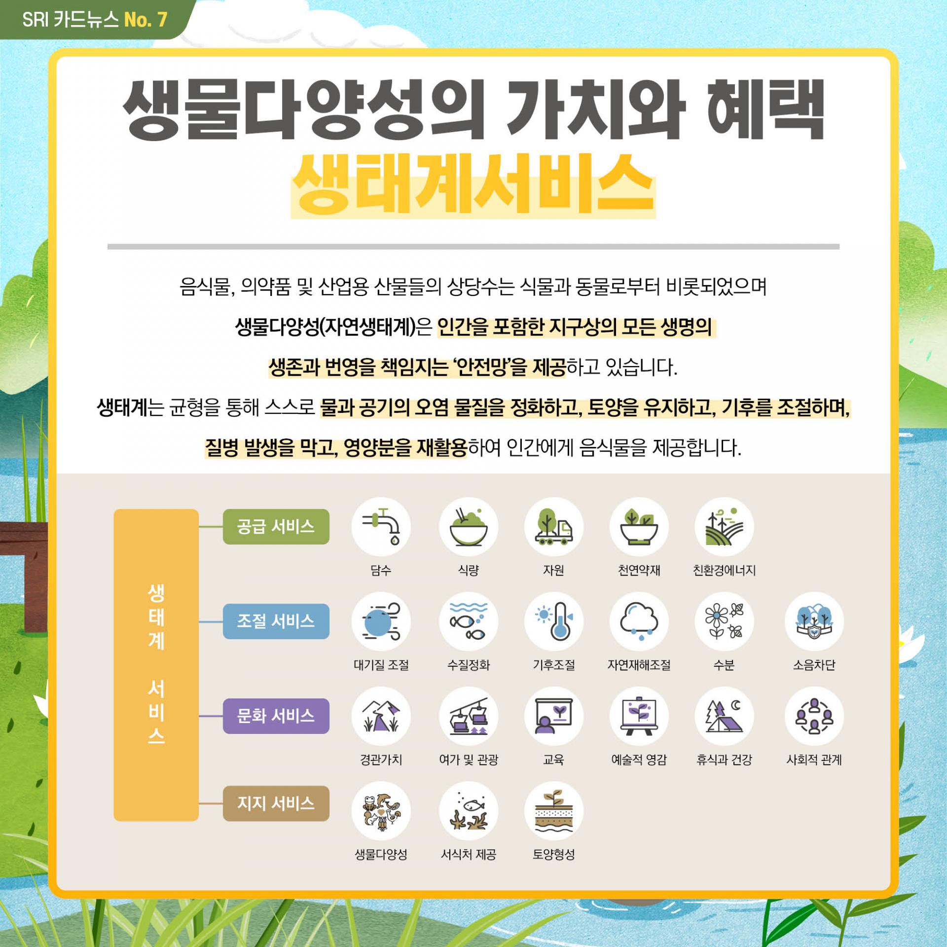 생물다양성 카드뉴스 : 제작사례 | 전국 관공서·공공기관 인쇄 디자인 Design 세창