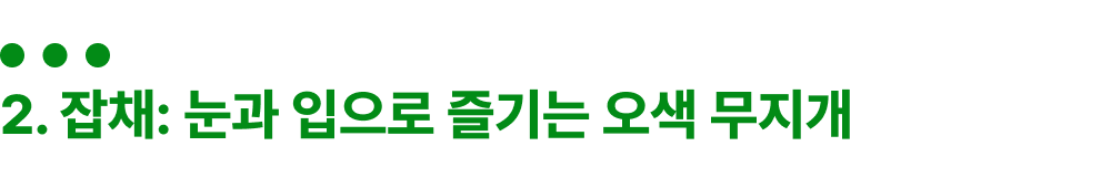 9e9e7611f8310.png