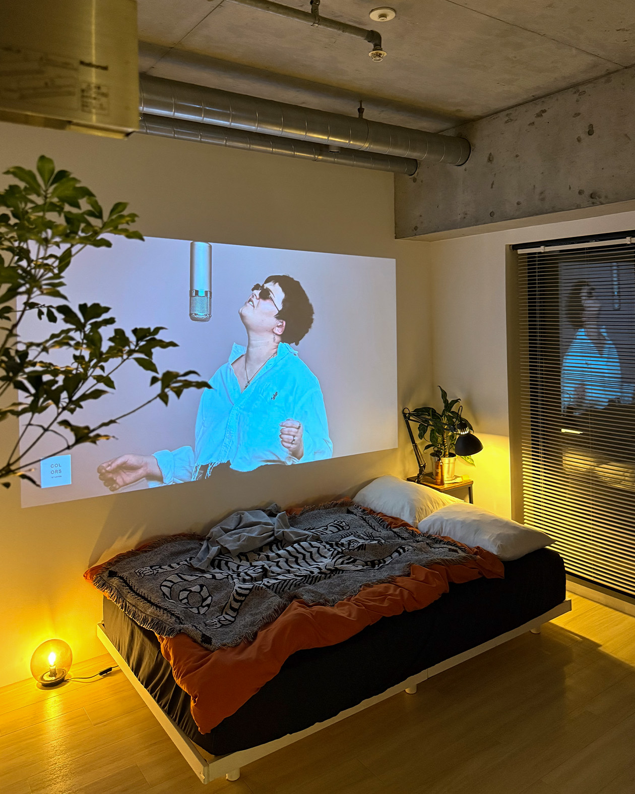 c123a5fd627a3.jpg