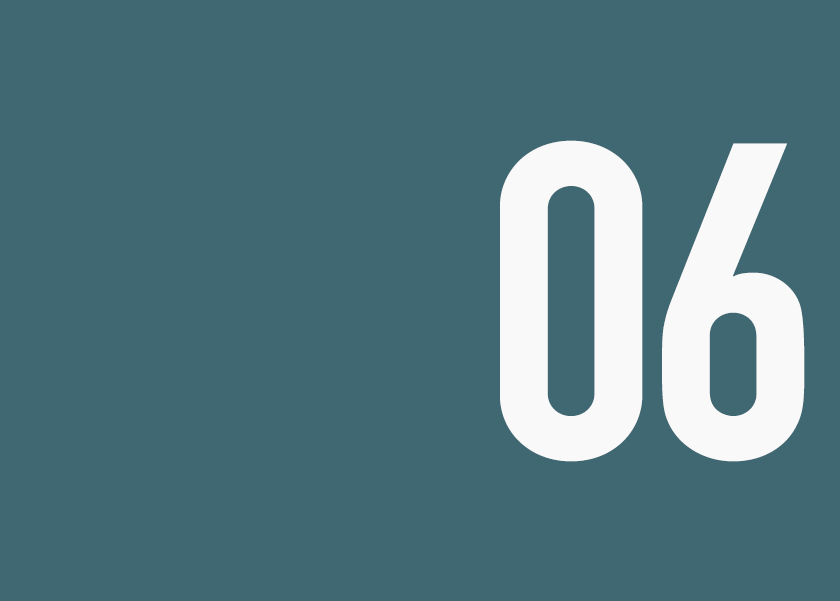 06