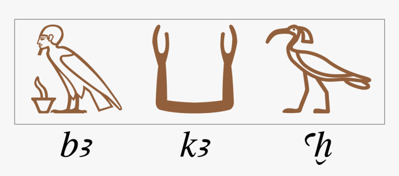 c27b0b8c46042.png