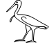 c4675036a7432.png