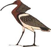 c482fbcbf6c63.png