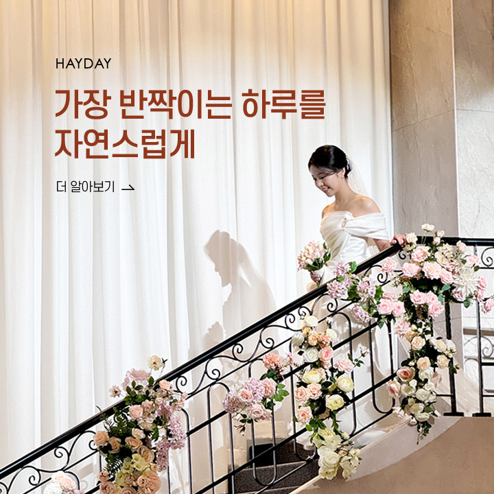 헤이데이