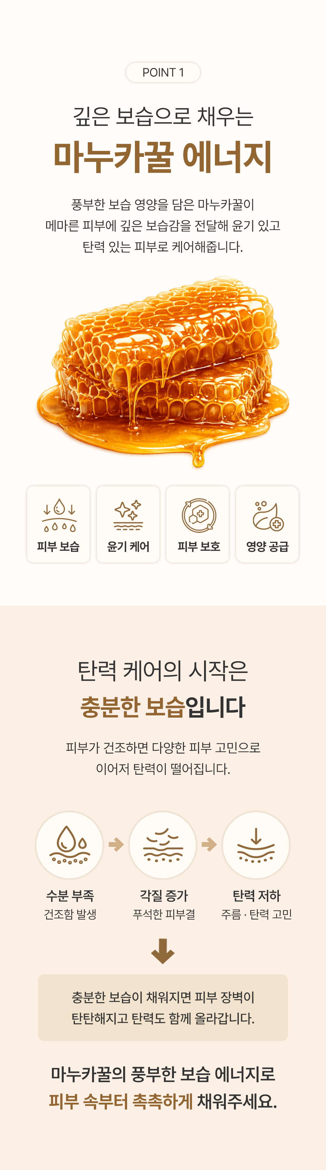 [마누카꿀 탄력세럼] 시그니필 허니 몰로키아 코어 리프팅 세럼 50ml