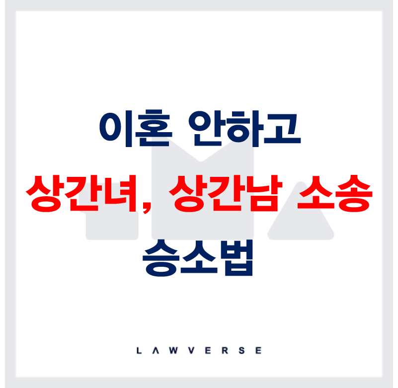 이혼_안하고_상간녀,_상간남_소송_승소법.png