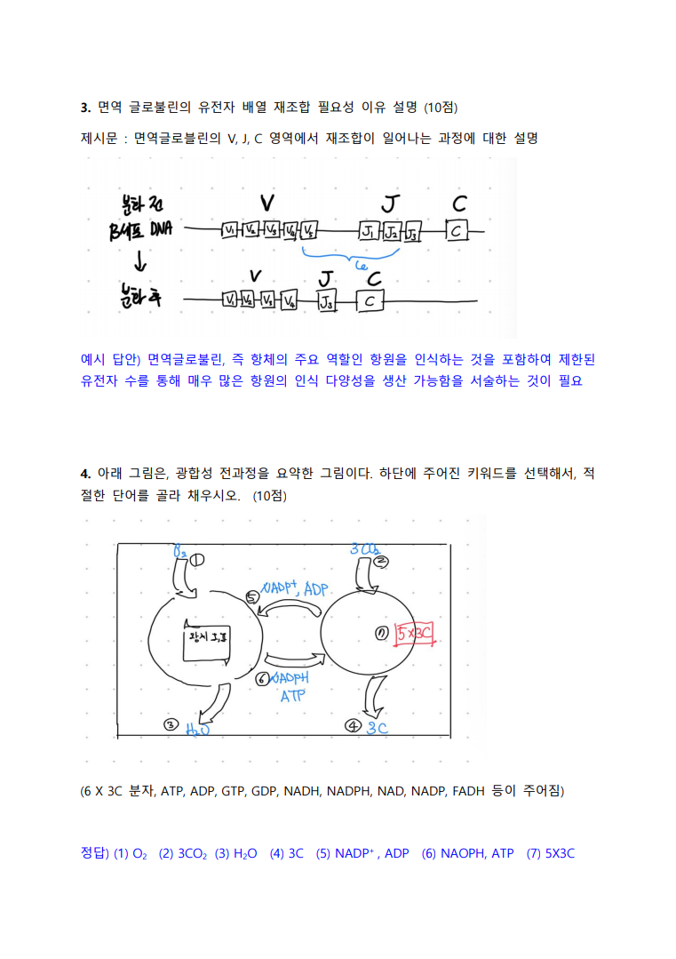 a1080f2ca0e79.png