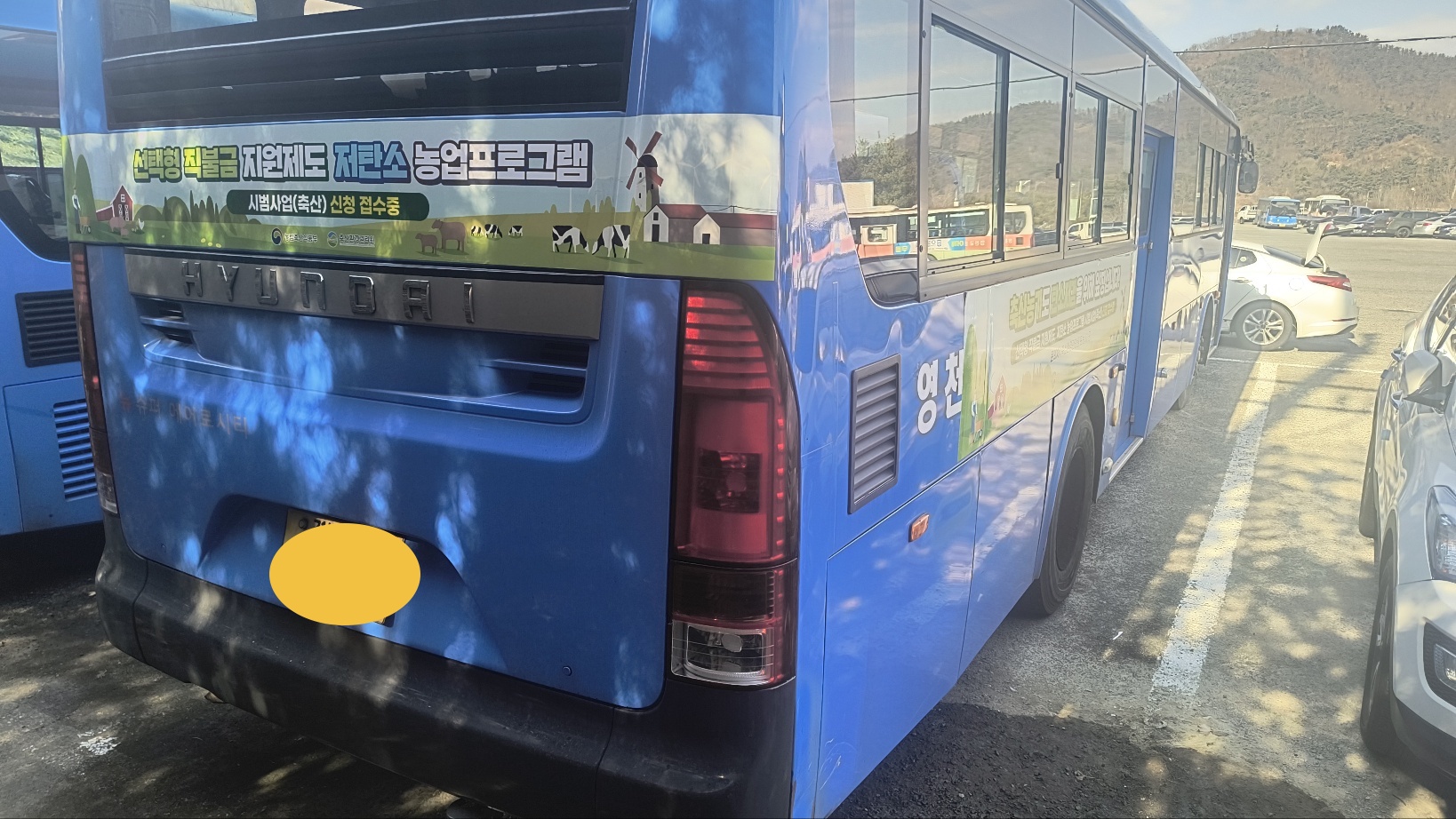 3f7b8b890b233.jpg