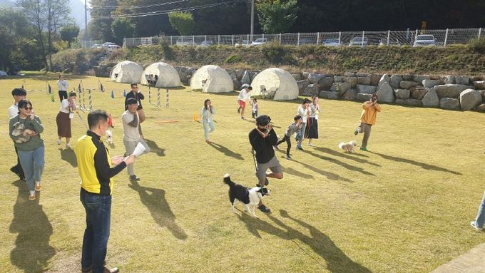 푸른바다독스쿨 아카데미 게임