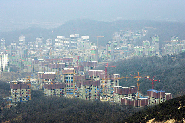 23d7347aab669.jpg