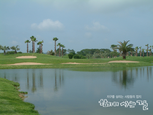 제주도에 자리한 한 골프장. 우후죽순 건설된 골프장이 지금 된서리를 맞고 있다