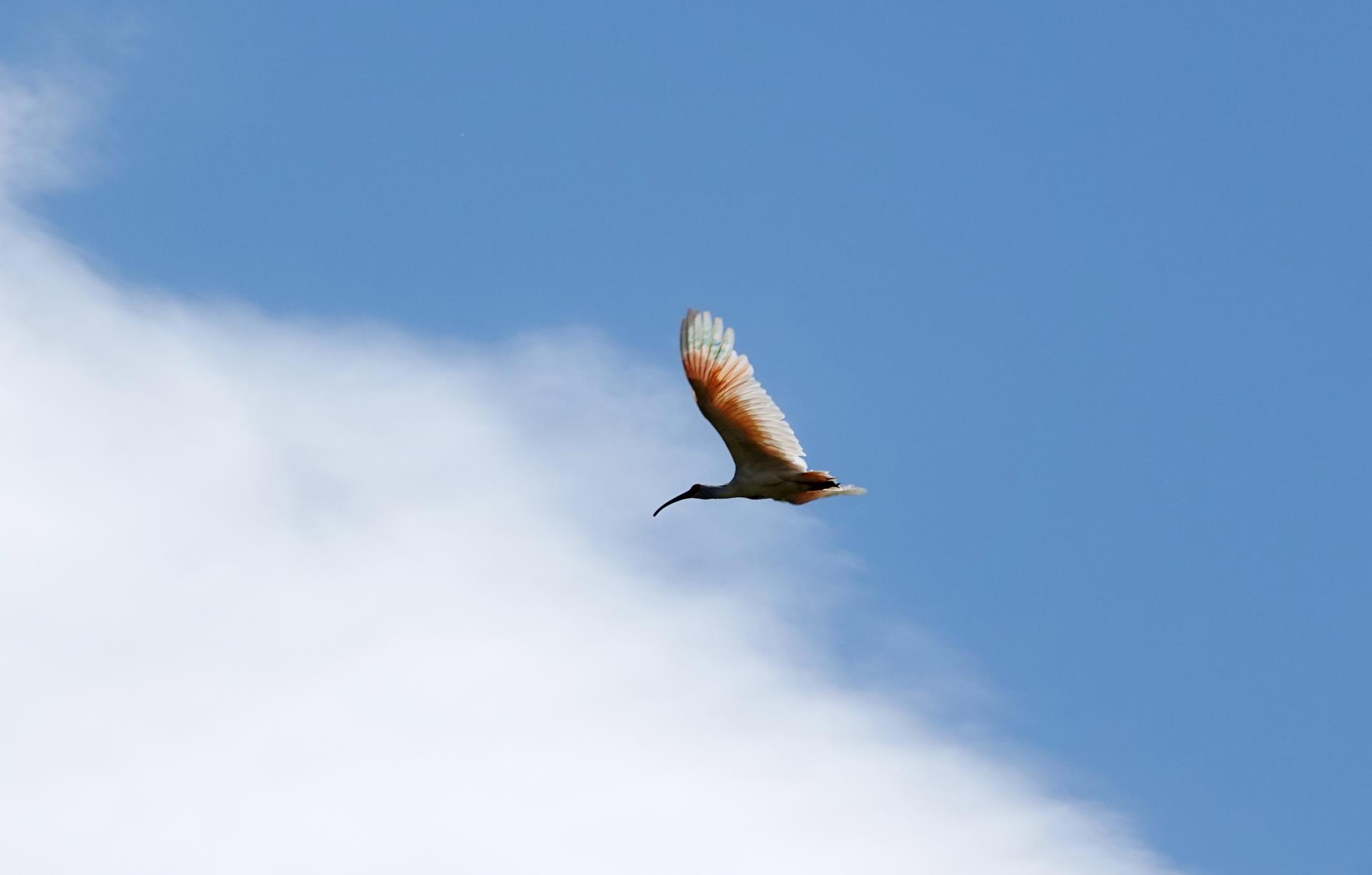 6e23d715590f8.jpg