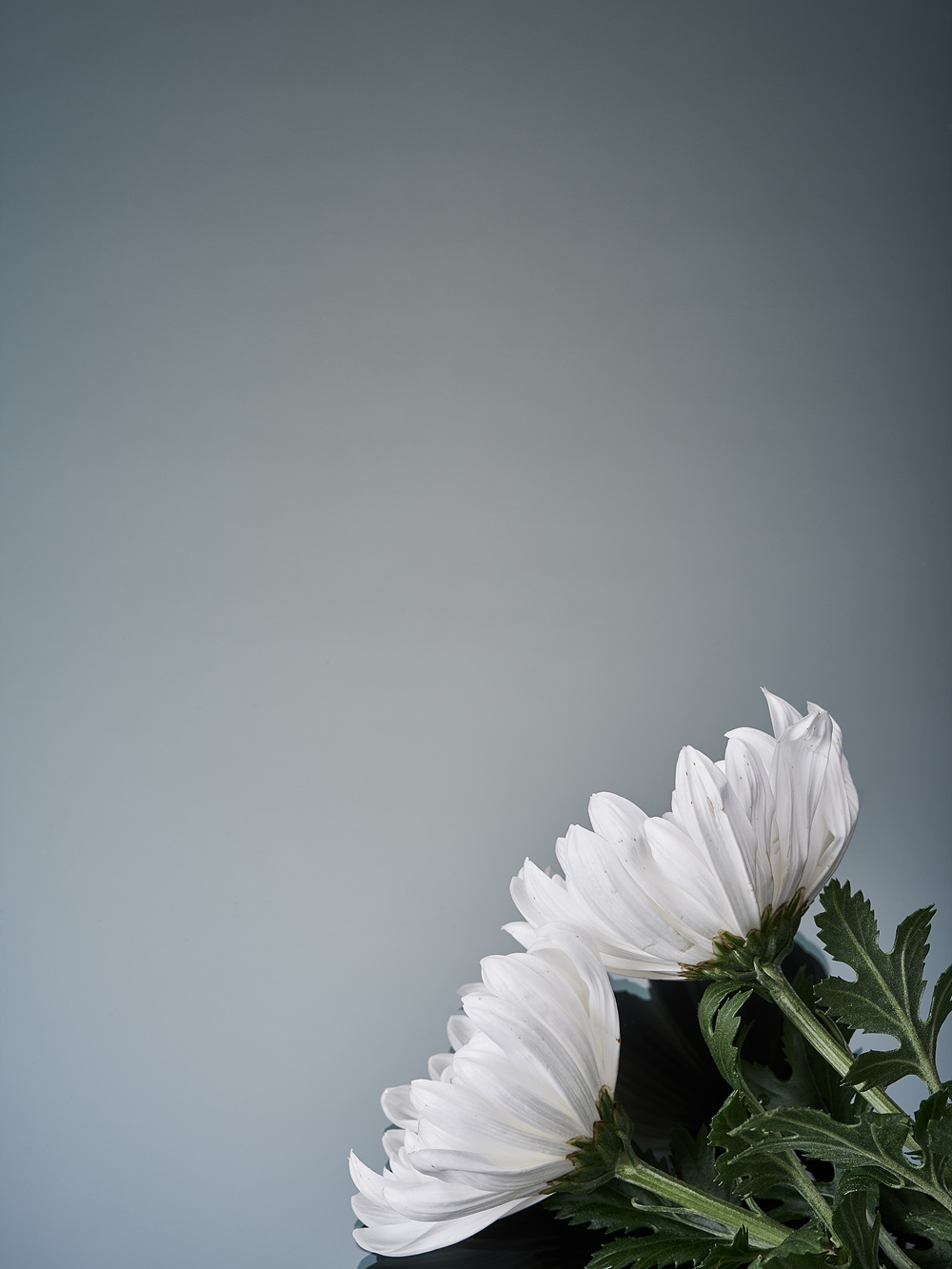 a0987875d464e.jpg