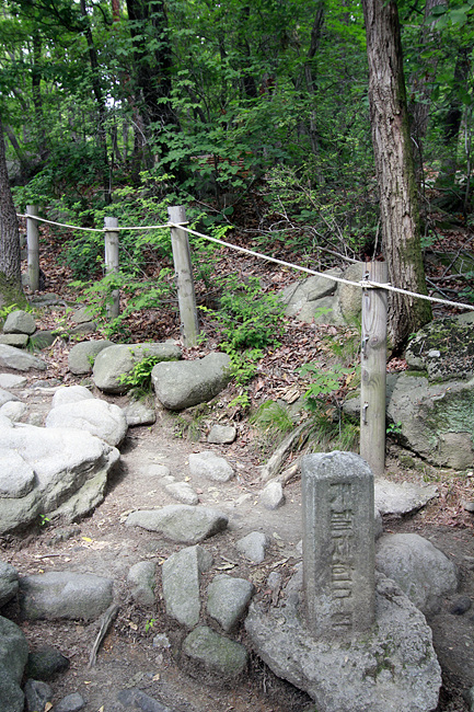d8c72d11eb219.jpg