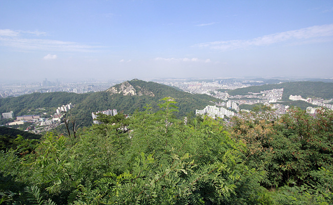dcaddc43855a5.jpg