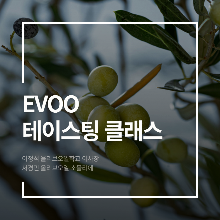 [서울] 스페인 올리브오일 테이스팅