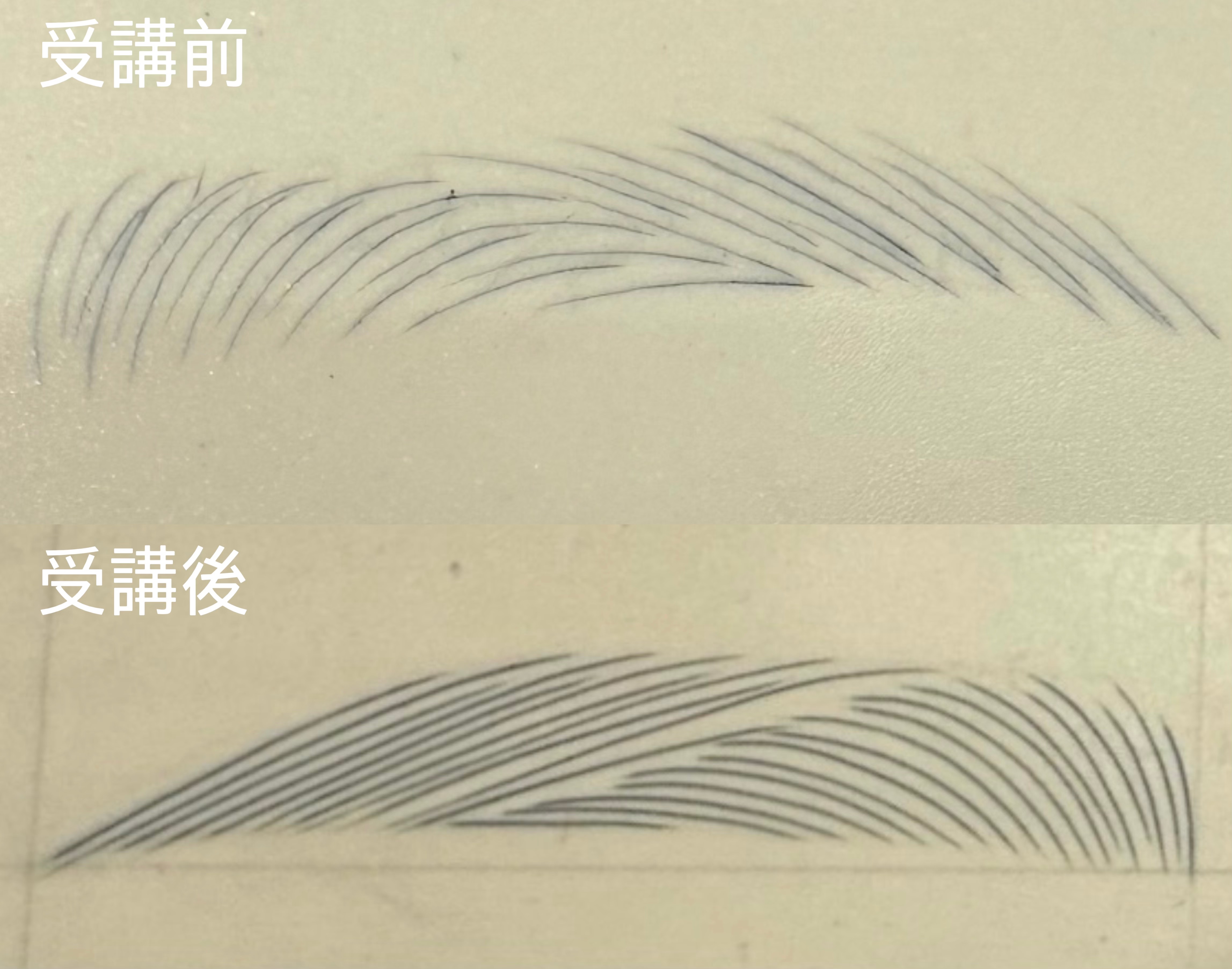 6d32d2c127115.jpg