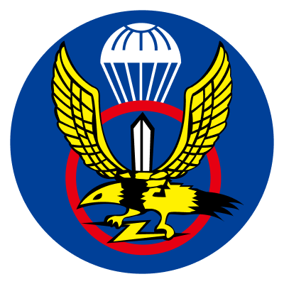 특수전사령부