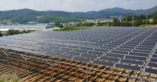 정부 믿고 수십억 썼는데 고철 될 판… 햇빛연금은 ‘그림의 떡’ [심층기획-기로에 선 영농형 태양광]