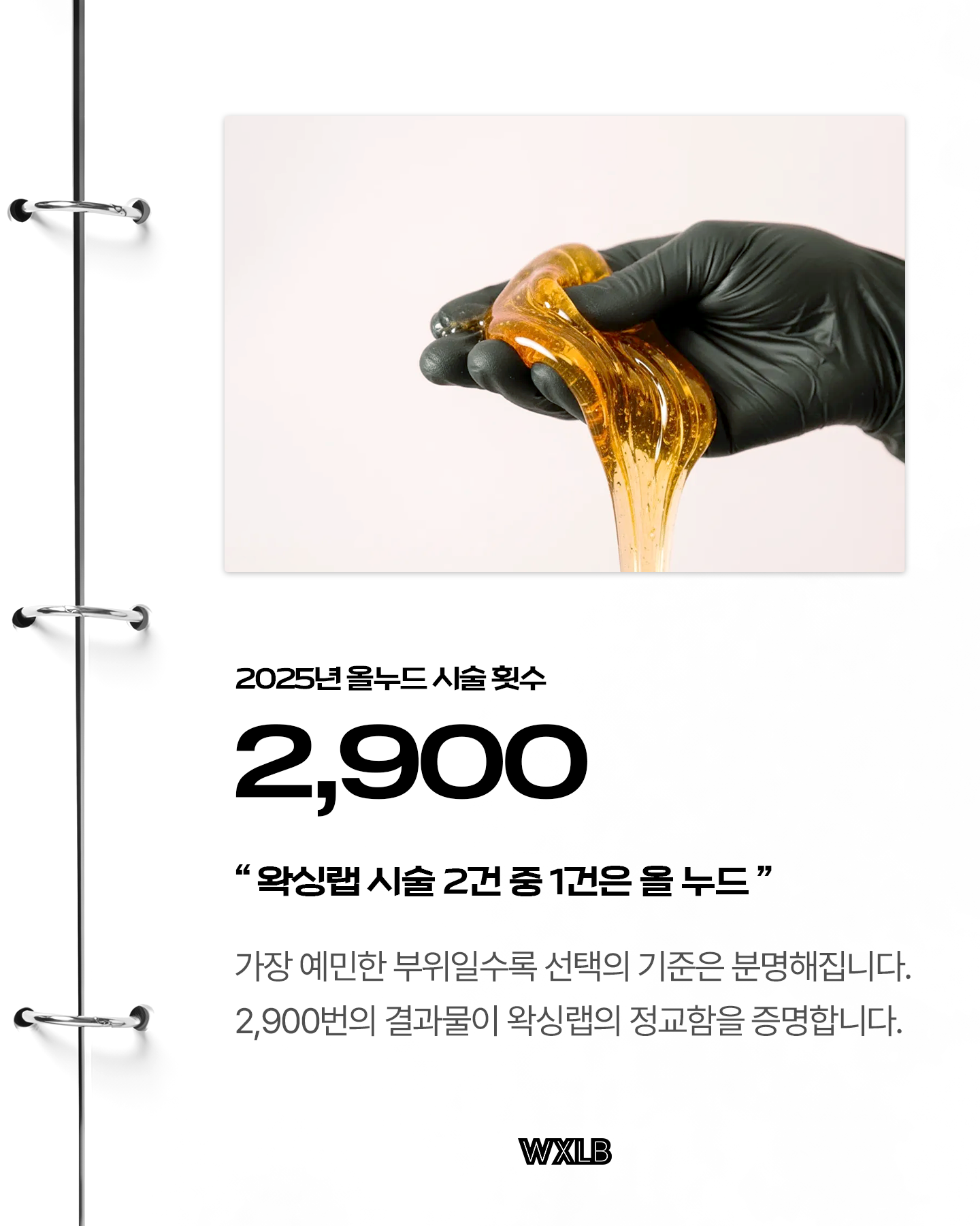 317ca230cd9cf.png