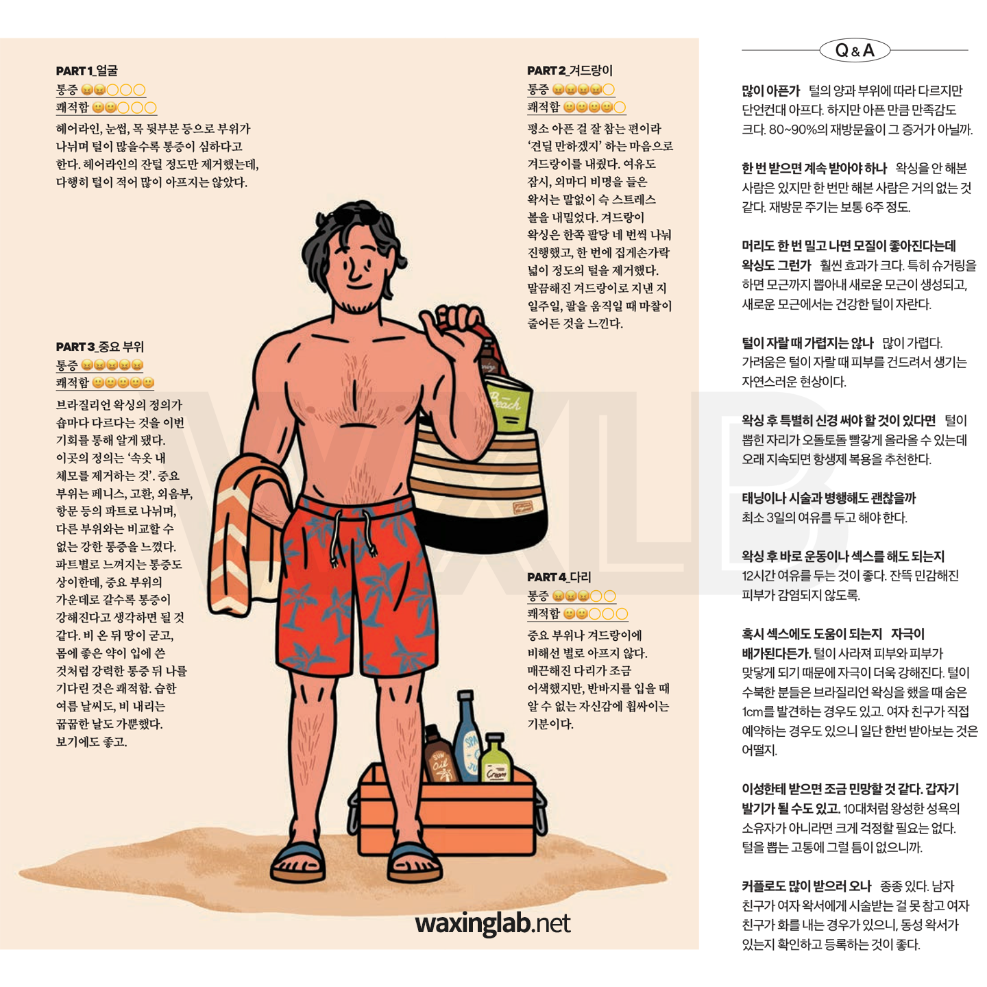7ab6bce396197.png