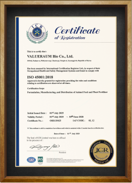 Certificate 11