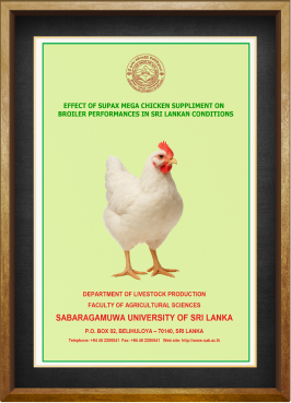 Certificate 12