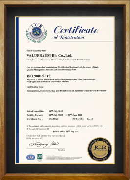 Certificate 09
